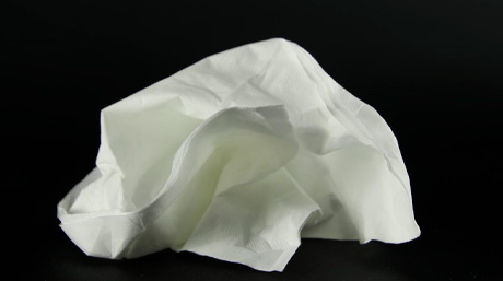 Paper towel method for germinating cannabis A simple and popular way to germinate cannabis seeds using a damp paper towelāperfect for beginners.