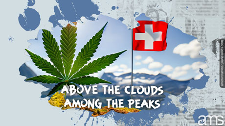 above clouds among peaks cannabis Swiss alps