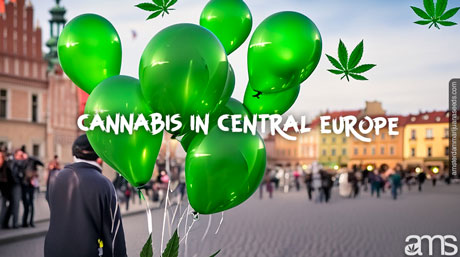 medical marijuana in central Europe