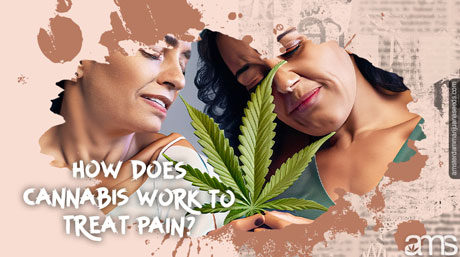 how cannabis work to treat pain