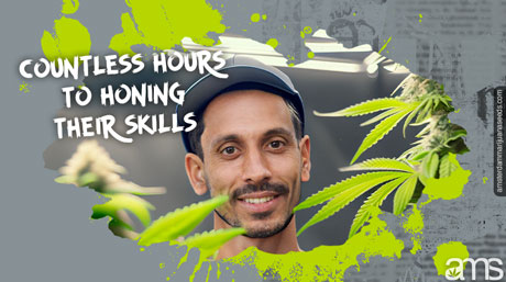 dutch cannabis breeder