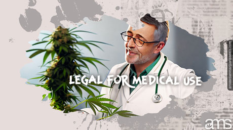 legal medical use legal medical marijuana use