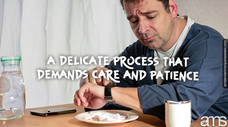 delicate process that demands care and patience bored man looks at the plant that does not germinate