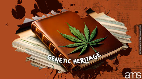 Genetic Heritage Light of Jah