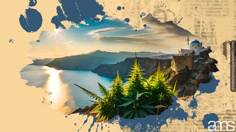 greece history of cannabis cultivation cannabis seeds mediterranean climates