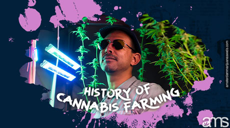 history of cannabis farming
