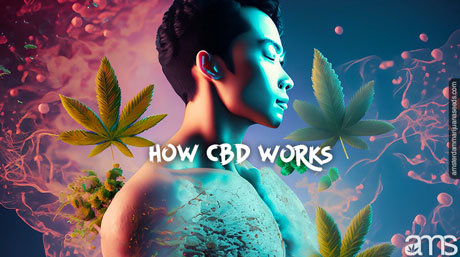 how cbd works man pervaded by healing marijuana molecules and marijuana leaves