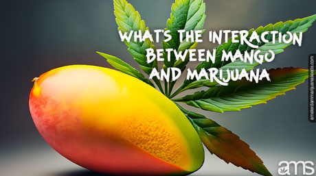 mango and a cannabis leaf