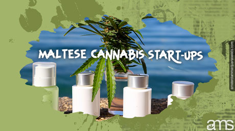 Maltese cannabis start ups Malta Cannabis Start-Ups