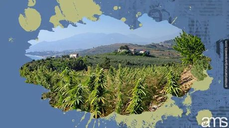 Albania legalize the proposal to legalize