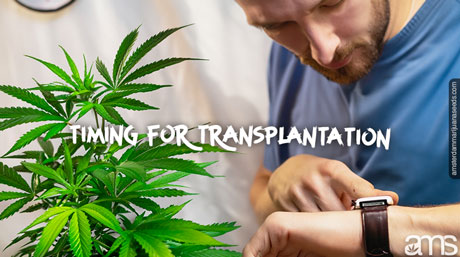 transplantation time