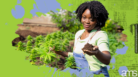 woman in her soil based cultivation