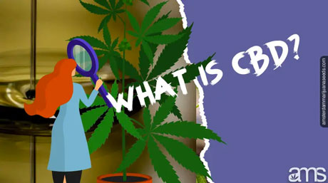study marijuana seeds what is cbd