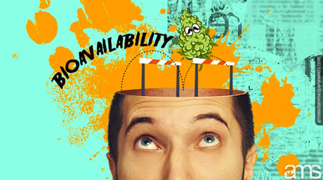 marijuana jumping obstacles