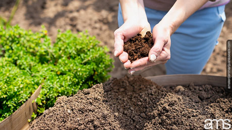 organic fertilizers essential steps preparing soil outdoor cultivation fertilized soil