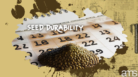 marijuana seed durability cannabis seed storage durability