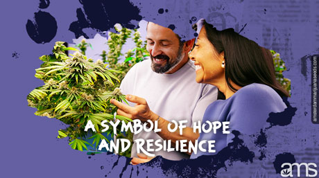 symbol of hope and resilience in the community Belgian medical cannabis plants