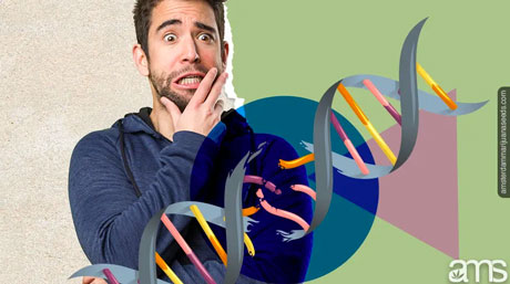 polyploidy cannabis dna