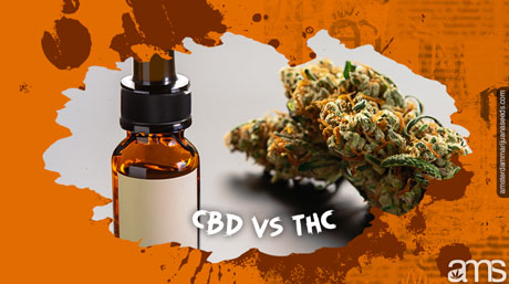 CBD vs THC CBD vs THC