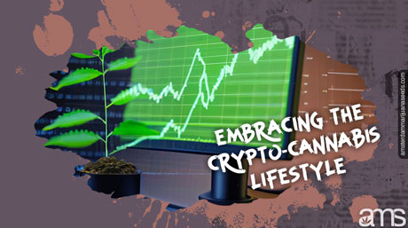 embracing the crypto cannabis lifestyle Buy Marijuana Seeds Bitcoins
