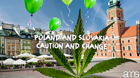 Cannabis Regulation in Slovakia