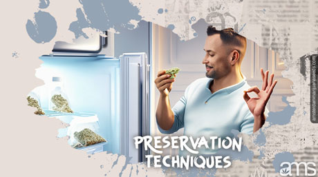 preservation techniques cannabis seed storage preservation