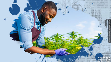 grower successfully growing weed