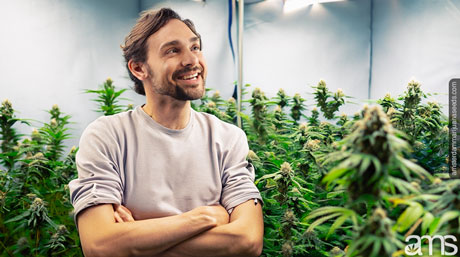 grow your own weed grower in his grow room just had an idea