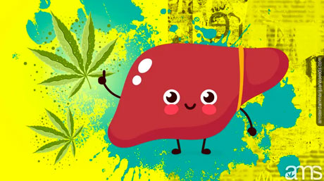 cartoon image of a smiley liver marijuana