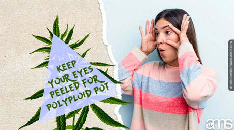 polyploid pot revolution