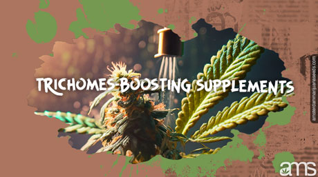 trichomes boost supplements plant