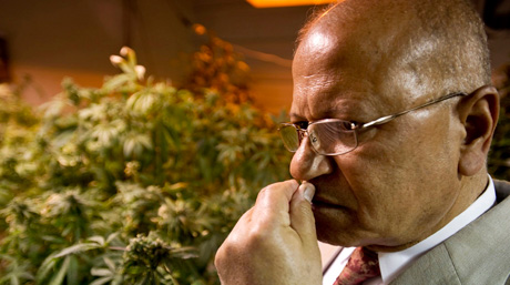 Famous Marijuana Pioneers - Green Revolution Dr Mahmoud Elsohly
