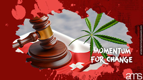 momentum for change Swiss flag and marijuana leaf