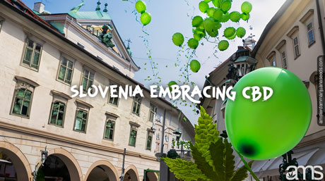 CBD in Slovenia