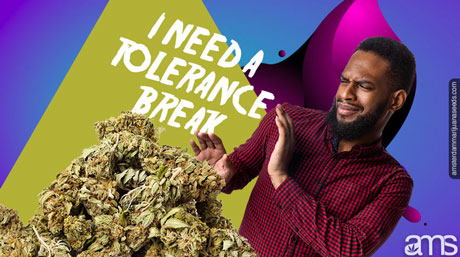 Reset your Tolerance