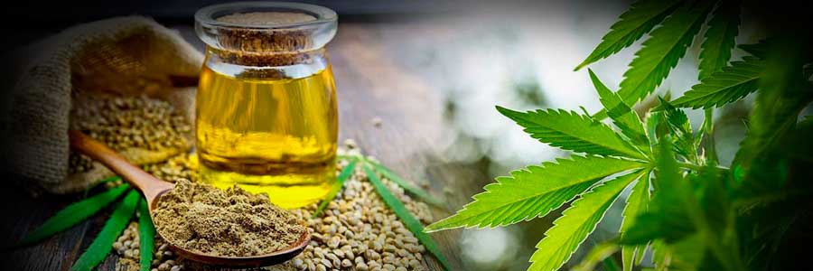 CBD cannabidiol