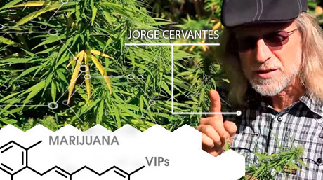 Famous Marijuana Pioneers - Green Revolution George Van Patten Jorge Cervantes
