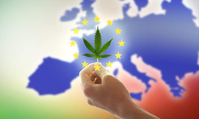 Europe Medical Cannabis