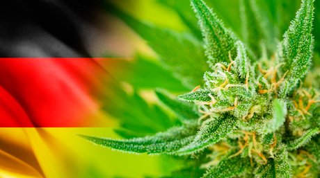Germany Legal Cannabis Germany Legal Cannabis