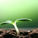 germination techniques