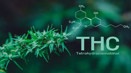 tetrahydrocannabinol THC THC tetrahydrocannabinol