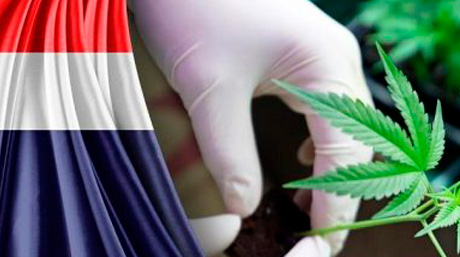 France medical cannabis