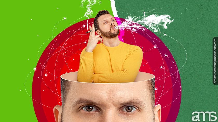 does weed help you focus