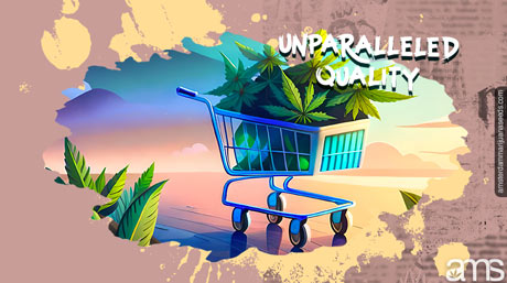 A shopping cart with a plant inside