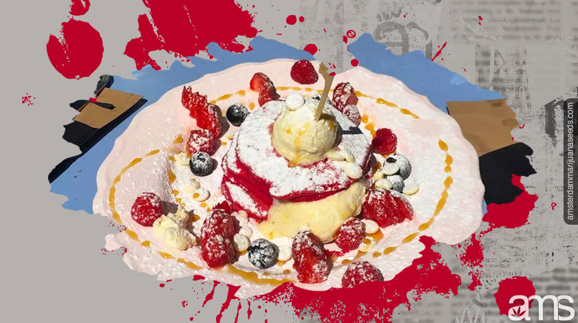 Pie coffeeshop stud amsterdam