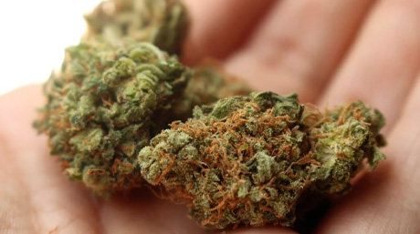 10 Cannabis Recipes to Make at Home couvrir