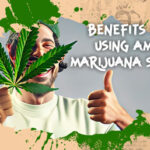 Benefits AMS Marijuana Seeds