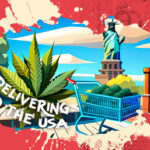 Marijuana Seeds Delivery USA