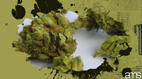 weed infused capsules