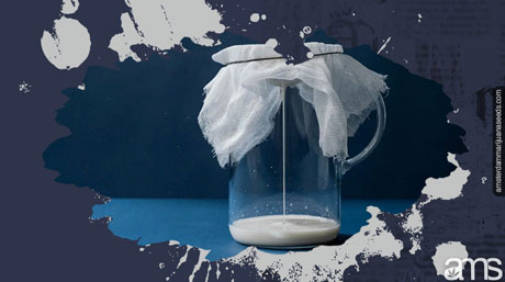 cheesecloth strain cannabis oil